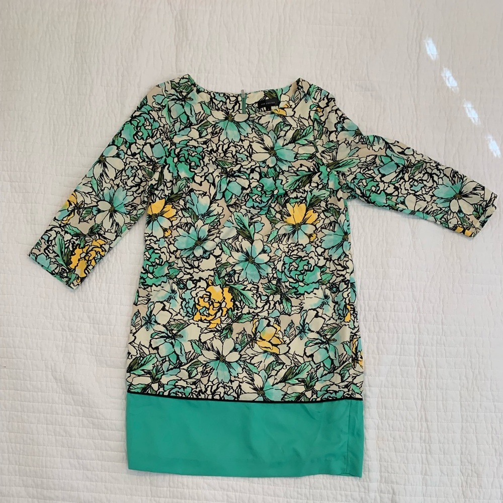 The Limited floral print spring dress